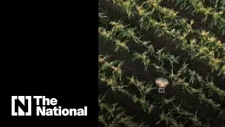 UAE and US launch global initiative for climate change innovation in agriculture
