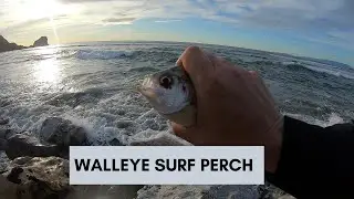 Surf Perch Fishing Rockaway Beach