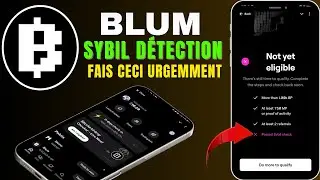 #BLUM : Probl&egrave;me Sybil d&eacute;tection r&eacute;gl&eacute; || Fais ceci urgemment