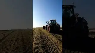 #insilato #mais #agro