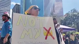 Thousands Rally Across Houston in &ldquo;No Kings&rdquo; Protest Against Trump-Era Policies