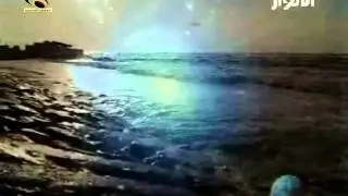 الرادود جليل الكربلائي-تغيرت المودة