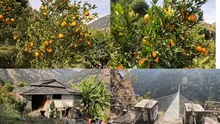 A Peaceful Day in village  Life.अति नै सुन्दर शान्त  गाउँ मेरो गाउँ ।