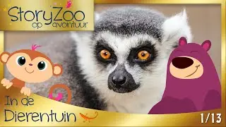 StoryZoo op avontuur - Ringstaartmaki