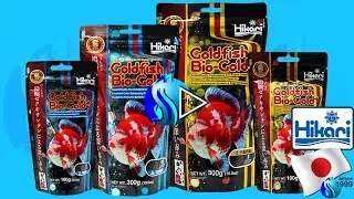 Hikari Goldfish Bio Gold+ (presentation)