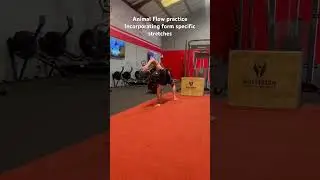 Animal flow work out incorporating form specific stretches. #animalflow #movement #yoga#strength