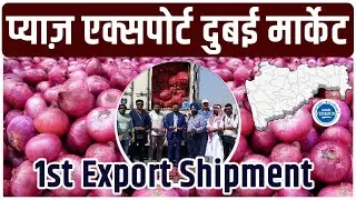 प्याज़ एक्सपोर्ट दुबई मार्केट How to start Onion Export? Start export business