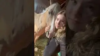 barb is my ☀️ 💗💗 #youtubeshorts #equestrain #trending #barbie #horse #fyp