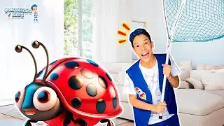Henrique Aprende a salvar os insetos| Bugs - Universo Kids