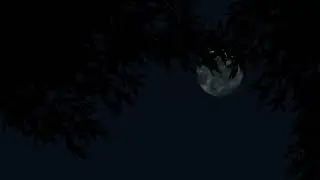 Summer Night Hearing Test – Nature Sounds & High Frequency Listening (10H)