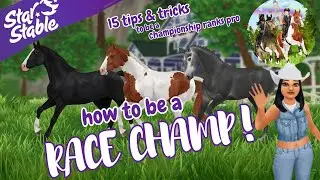 how to win SSO championships (and actually complete the champ ranks) Star Stable