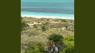 Nature Dance