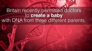 Ask The Expert: Creating 3 Parent Babies & Ethics