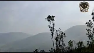 NATUREAL BEAUTY OF MOUNTAIN AND TREE||@NATURE BLOG||#nature #blogger #blog||