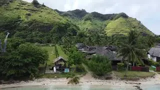 Moorea Les Tipaniers
