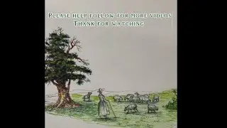 Draw the girl and the sheeps