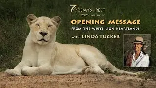 Opening Message for 7 Days of Rest 2025 from the White Lion Heartlands with Linda Tucker