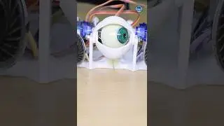 Eye make for robot