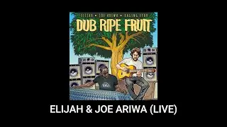 Dub Ripe Fruit - Elijah & Joe Ariwa {Live Dubshow in Zurich, Switzerland}