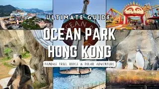 OCEAN PARK HONG KONG: Ultimate Guide - Pandas, Thrill Rides & Polar Adventure