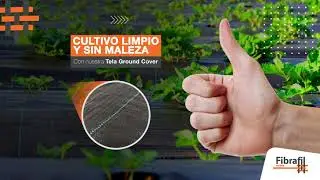 Tela Ground Cover