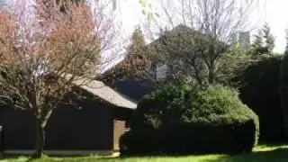 Einfamilienhaus zu verkaufen in Sch&ouml;mberg Bieselsberg - Schwarzwald