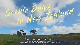 🏞️Scenic Drive in New Zealand |🚗West Auckland to Muriwai |🛣️SH16 |🎵Soft Music | 新西兰奥克兰风景自驾 | 轻音乐