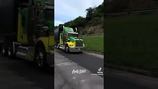 Que linduras de mulas