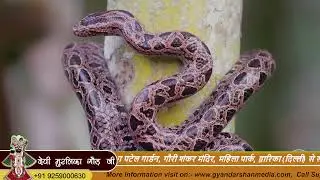 2160k Shoot