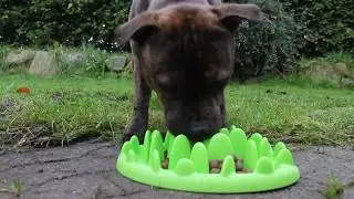 Olivers Northmade foderbr&aelig;t - staffordshire bull terrier, t&oslash;rkost