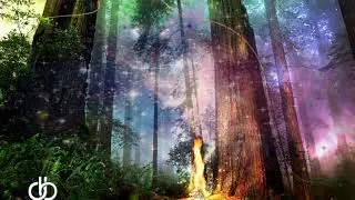 Progressive PsyTrance - Dual Beats - Dreams Forest - Mix