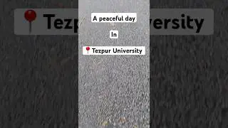 A Peaceful Day 