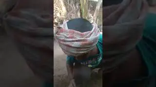plant tree 🌳  save nature #shorts #funny  #learn #nature #reels #shortsday #dugulisworld