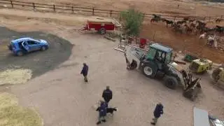 falcon security