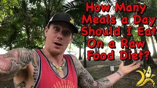 How Many Meals Should I Eat In a Day on a Raw Food Diet?