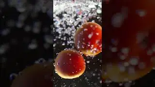 NEEWER RGB1 Magnetic Handheld Light Stick