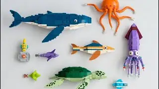 14 удивительных морских животных из кубиков | Узнайте названия и факты о морских животных для дет...