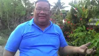 Papa Bday