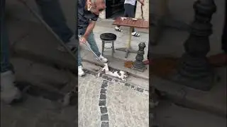 Tell me you&rsquo;re in Turkey without saying you&rsquo;re in Turkey