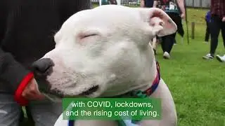 How our donation helps Edinburgh Dog & Cat Home!