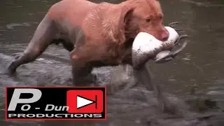 The Secret to Hunting Ducks Late Season (Oregon Duck Hunting)