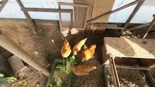 ある日の冬の