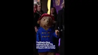 Paddington Bear walking the BAFTAs red carpet is the cutest thing you will see today