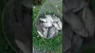 ИЮНЬ ИТОГ.