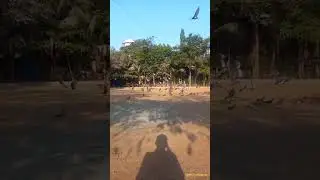 A little moment of pure magic ✨#SlowMotion #ChildhoodWonder #NatureLovers #Cinematic #milindverse