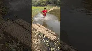 Amazing mud push net fishing video