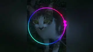 Reggae Dubstep #Base #Nocopyright