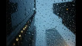 White Noise Wasteland 1h 23m 45s of Rain on the Sidewalk ASMR Sleep