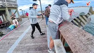 EVERYONE Caught Giants At This Gulf Pier!