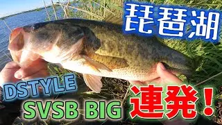 DSTYLEのSVSB BIGで連発！見た目ゴ〇ブリやのにめちゃ釣れる！Kanji internationalXmetalのネイルシンカーCPで簡単バックスライドで簡単にバスを誘う！【琵琶湖バス釣り】
